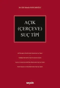 Açık (Çerçeve) Suç Tipi – Elif Almıla Pancaroğlu – Seçkin Yayıncılık kitap kapağı
