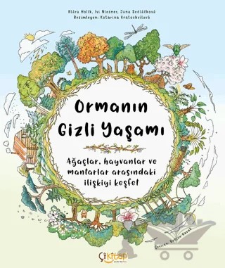 Ormanın Gizli Yaşamı – Klara Holik, İvi Niesner, Jana Sedlackova – Çikitap kitap kapağı