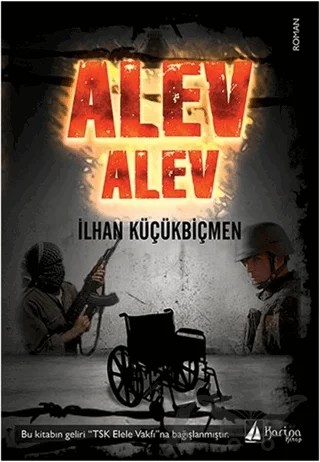 Alev Alev – İlhan Küçükbiçmen – Karina Kitap kitap kapağı