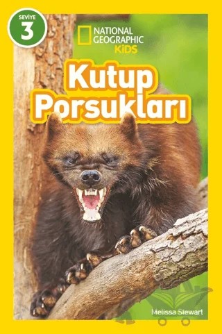 Kutup Porsukları - National Geographic Kids – Melissa Stewart – Beta Kids kitap kapağı