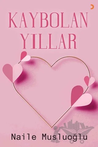 Kaybolan Yıllar – Naile Musluoğlu – Cinius Yayınları kitap kapağı