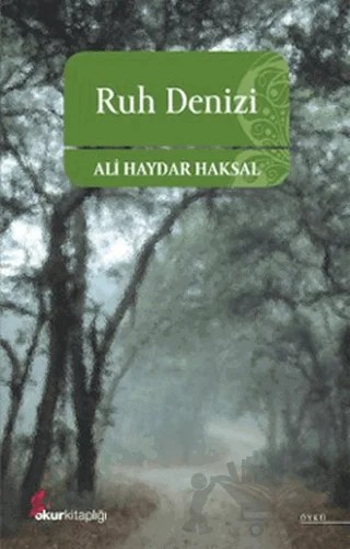 Ruh Denizi – Ali Haydar Haksal – Okur Kitaplığı kitap kapağı