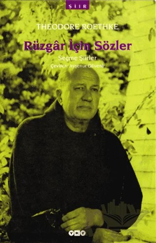 Rüzgar İçin Sözler – Theodore Roethke – Yapı Kredi Yayınları kitap kapağı