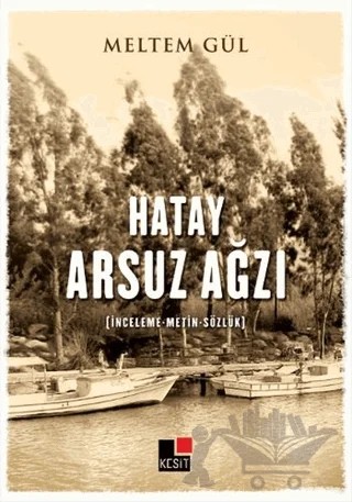 Hayat Arsuz Ağzı – Meltem Güler – Kesit Yayınları kitap kapağı