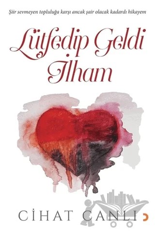 Lütfedip Geldi İlham – Cihat Canlı – Cinius Yayınları kitap kapağı