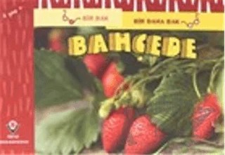 Bir Bak Bir Daha Bak - Bahçede – David M. Schwartz, Marilyn Marks – TÜBİTAK Yayınları kitap kapağı