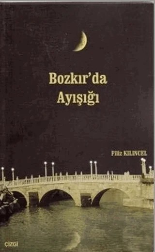 Bozkır’da Ayışığı – Filiz Kılınçel – Çizgi Kitabevi Yayınları kitap kapağı