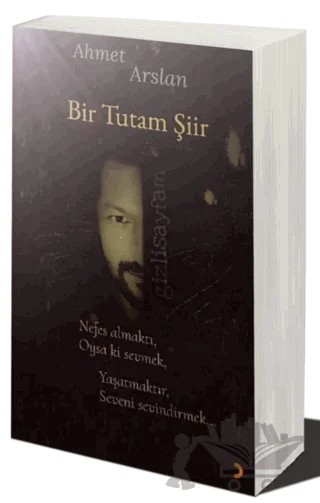 Bir Tutam Şiir – Ahmet Arslan – Cinius Yayınları kitap kapağı