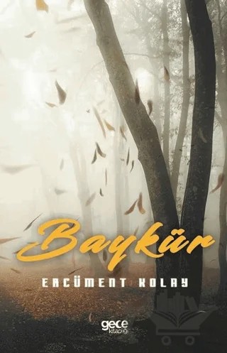 Baykür – Ercüment Kolay – Gece Kitaplığı kitap kapağı