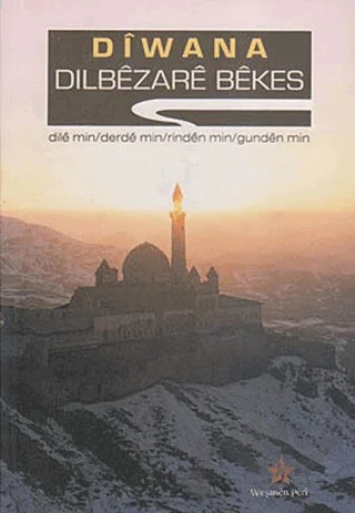 Diwana – Dilbezare Bekes – Peri Yayınları kitap kapağı