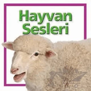 Hayvan Sesleri – Kolektif – Beta Kids kitap kapağı