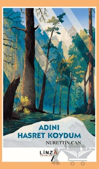 Adını Hasret Koydum – Nurettin Can – Linza Yayınları kitap kapağı