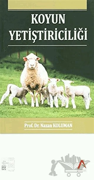 Koyun Yetiştiriciliği – Nazan Koluman – Akademisyen Kitabevi kitap kapağı