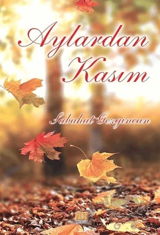 Aylardan Kasım – Sabahat Gezgincan – Tunç Yayıncılık kitap kapağı
