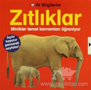 Minikler Temel Kavramları Öğreniyor