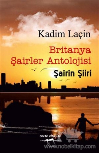 Şairin Şiiri