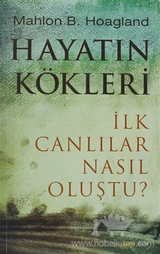 İlk Canlılar Nasıl Oluştu?