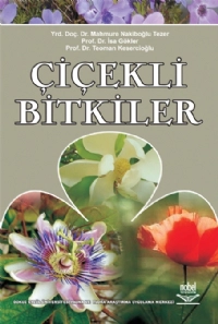 Çiçekli Bitkiler