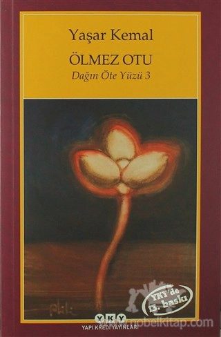 Dağın Öte Yüzü - 3