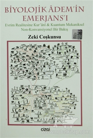 Evrim Realitesine Kur'anı &amp; Kuantum Mekaniksel Non-Konvansiyonel Bir Bakış