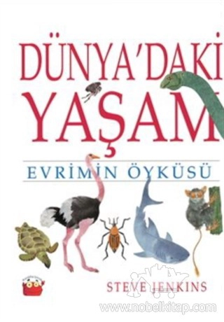 Evrimin Öyküsü