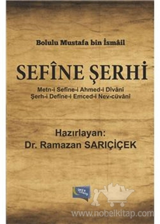 Metn-i Sefine-i Ahmed-i Divan-i / Şerh-i Define-i Emced-i Nev-Cüvani