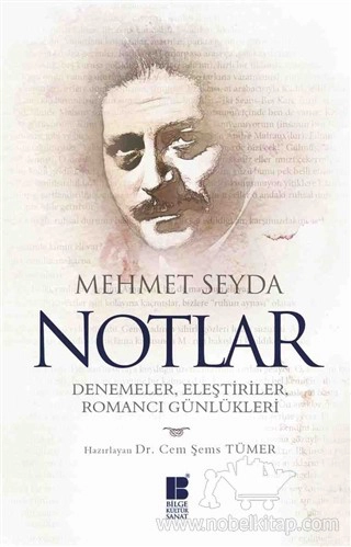 Denemeler, Eleştiriler, Romancı Günlükleri