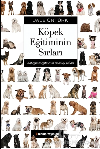 Köpeğinizi Eğitmenin En Kolay Yolları