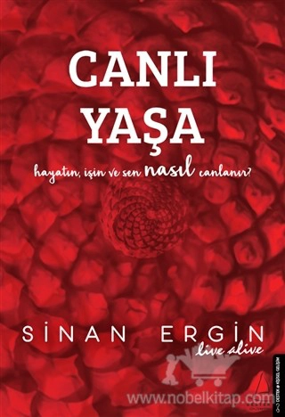 Hayatın, İşin ve Sen Nasıl Canlanır?