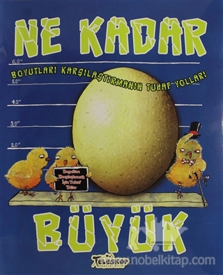 Boyutları Karşılaştımanın Tuhaf Yolları