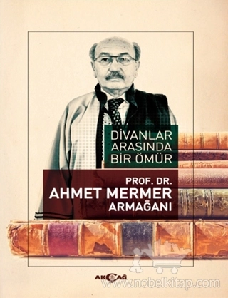 Prof. Dr. Ahmet Mermer Armağanı
