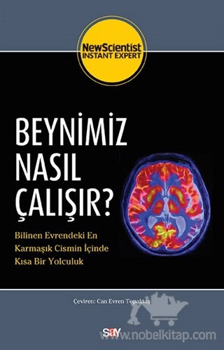 Bilinen Evrendeki En Karmaşık Cismin İçinde Kısa Bir Yolculuk