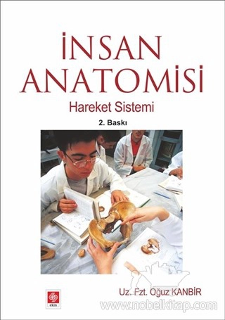 Hareket Sistemi