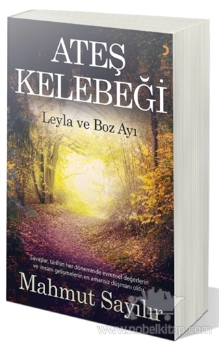 Leyla ve Boz Ayı