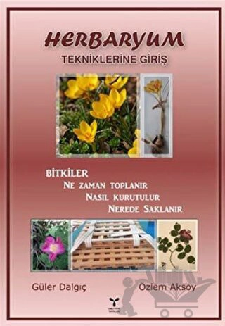 Tekniklerine Giriş