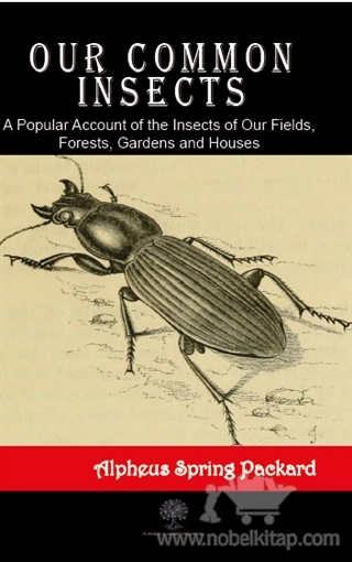 A Popular Account of the Insects of  Our Fields, Forests, Gardens and Houses