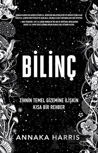 Zihnin Temel Gizemine İlişkin Kısa Bir Rehber