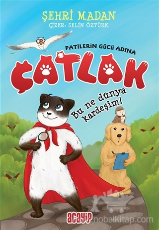 Patilerin Gücü Adına