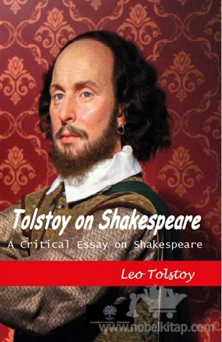 A Critical Essay on Shakespeare