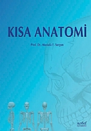 Kısa Anatomi