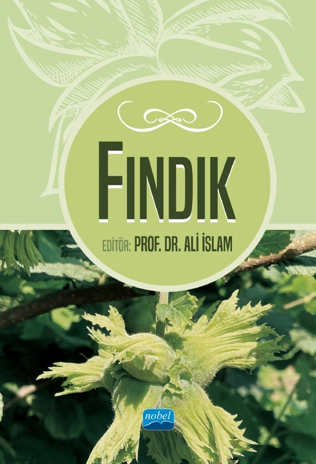 FINDIK