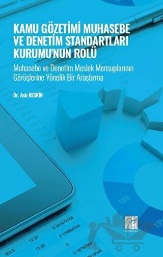 Muhasebe ve Denetim Meslek Mensuplarının Görüşlerine Yönelik Bir Araştırma