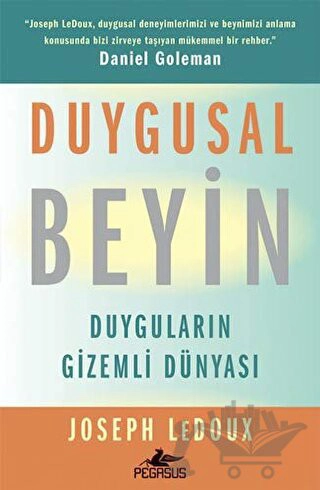 Duyguların Gizemli Dünyası