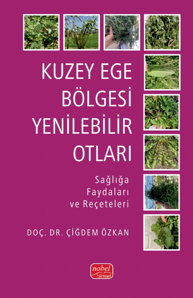 KUZEY EGE BÖLGESI YENILEBILIR OTLARI - Sağlığa Faydaları ve Reçeteleri