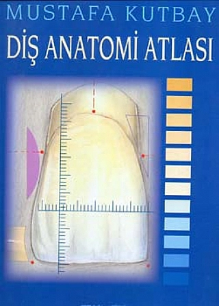 Diş Anatomi Atlası