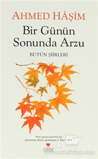 Bütün Şiirleri